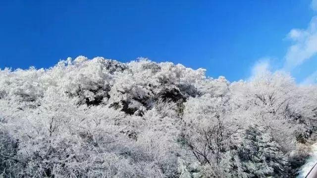 救援受困的萌兔